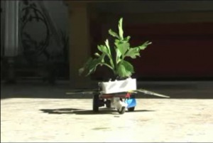 gilbertoesparza_bot