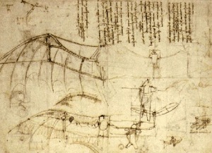 wing